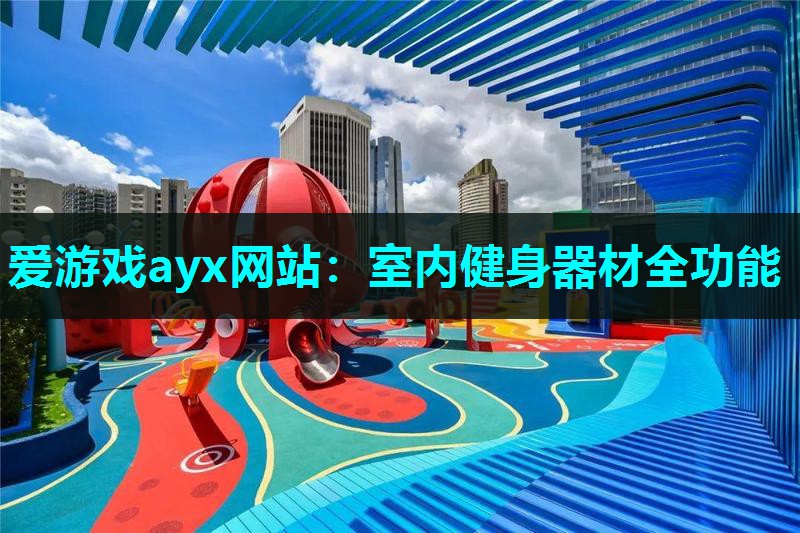 爱游戏ayx网站：室内健身器材全功能