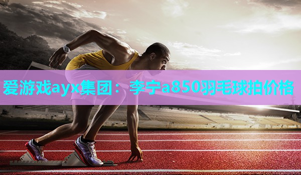 爱游戏ayx集团：李宁a850羽毛球拍价格