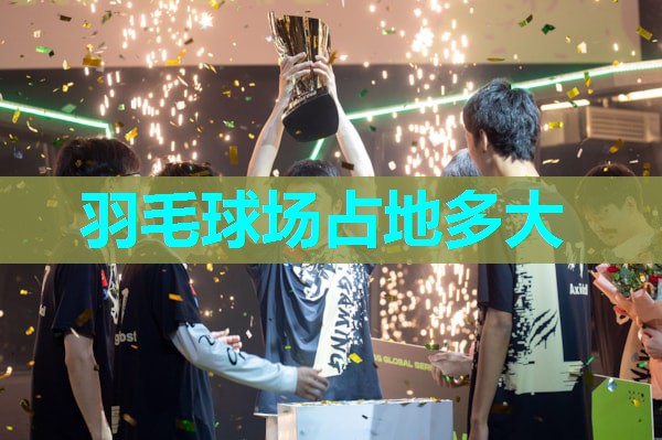 羽毛球场占地多大