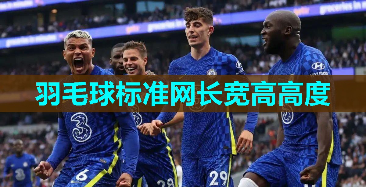 羽毛球标准网长宽高高度