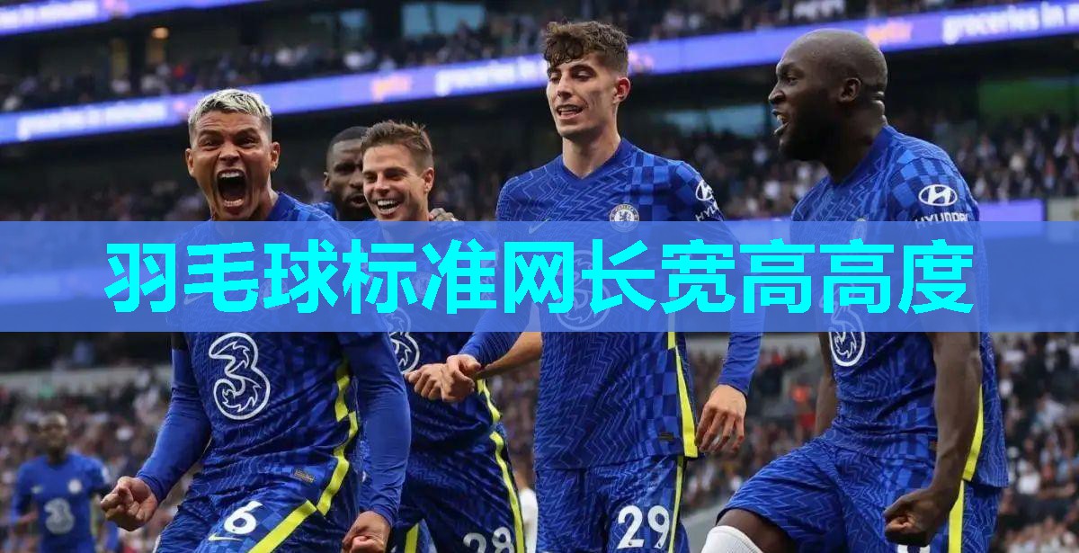 羽毛球标准网长宽高高度